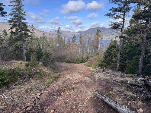 Cabot Trail, Ingonish Ferry, NS 