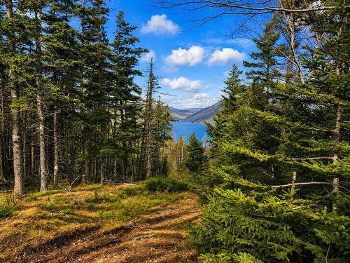 Cabot Trail, Ingonish Ferry, NS 