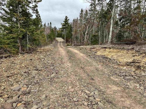 Hillside Rd Lot 3 Marion Bridge, Marion Bridge, NS 