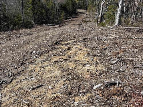 Hillside Rd Lot 3 Marion Bridge, Marion Bridge, NS 