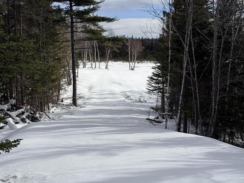Hillside Rd Lot 3 Marion Bridge, Marion Bridge, NS 