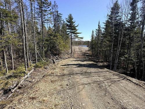 Hillside Rd Lot 3 Marion Bridge, Marion Bridge, NS 