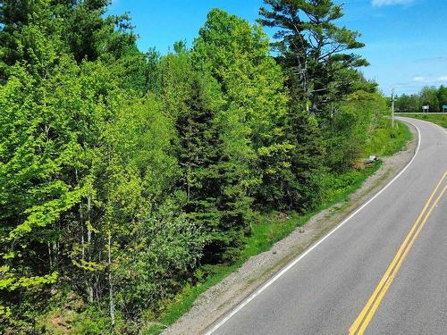 V/L 368 Highway, Wentworth, NS 