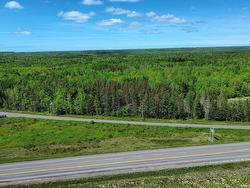 V/L 368 Highway  Wentworth, NS B0M 1Z0