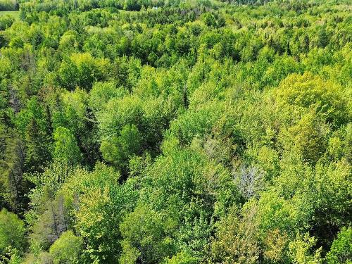 V/L 368 Highway, Wentworth, NS 