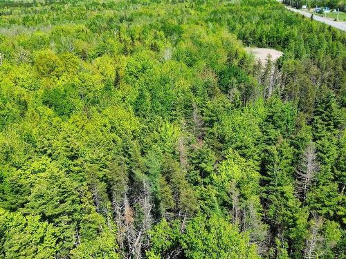 V/L 368 Highway, Wentworth, NS 