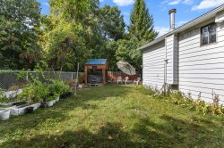 Courtyard - 