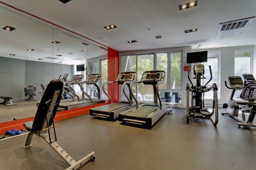 Exercise Room - 205-3300 Av. Troie, Montréal (Côte-Des-Neiges/Notre-Dame-De-Grâce), QC - Indoor Photo Showing Gym Room