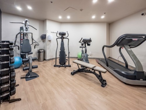 Salle d'exercice - 608-1255 Boul. Alexis-Nihon, Montréal (Saint-Laurent), QC - Indoor Photo Showing Gym Room