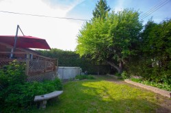 Garden - 