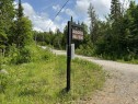 Accès au plan d'eau - Rue De La Forêt, Sainte-Marguerite-Du-Lac-Masson, QC 