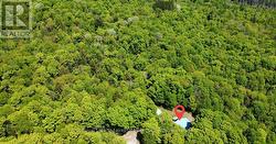 722 SOUTH HORN LK ROAD  Armour, ON P0A 1C0