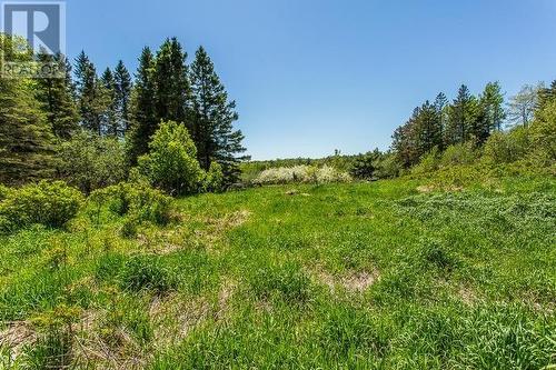 2521 U Line Rd|Hilton Township, St. Joseph Island, ON 