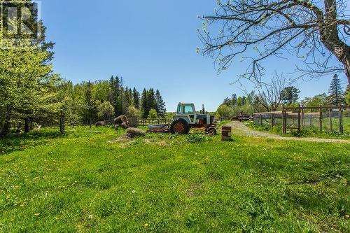 2521 U Line Rd|Hilton Township, St. Joseph Island, ON 