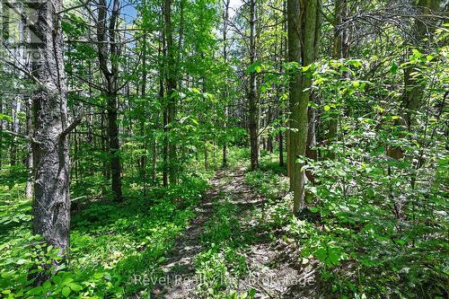 2391 Rumney Road, Tay, ON 