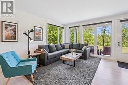 Living area - loads of natural light - 