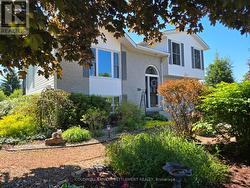 Front gardens - 