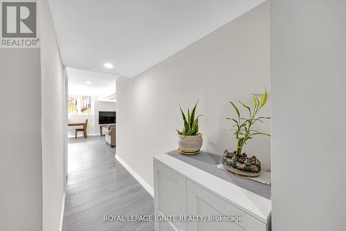 163 Spitfire Drive, Hamilton, ON 