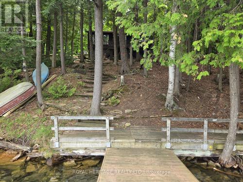 **Treed & Private Setting** - 1160 Sunset Strip Lane, Frontenac, ON - Outdoor