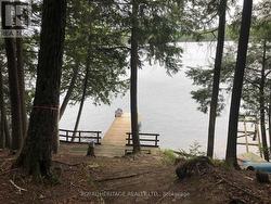 **Two Docks (One Is 5 Years Old With A Winch) - 