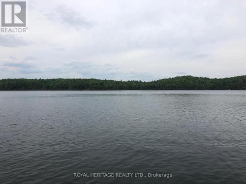 **Beautiful, Clean & Deep Palmerston Lake** - 1160 Sunset Strip Lane, Frontenac, ON - Outdoor With Body Of Water With View