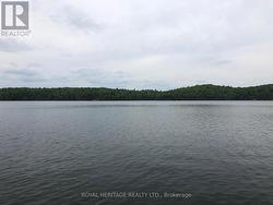**Beautiful, Clean & Deep Palmerston Lake** - 
