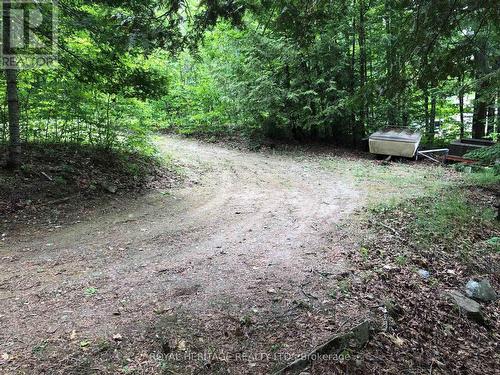 **5 Car Parking In Circular Drive** - 1160 Sunset Strip Lane, Frontenac, ON - Outdoor