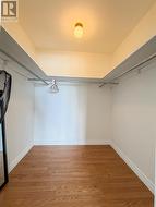 Primary walk-in closet - 