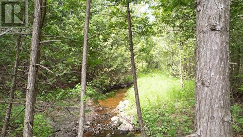 194543 Sideroad 30Ndr Side Road N, West Grey, ON 
