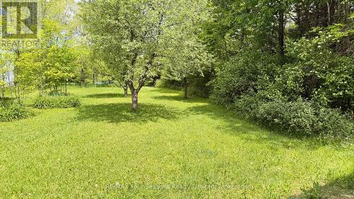 194543 Sideroad 30Ndr Side Road N, West Grey, ON 