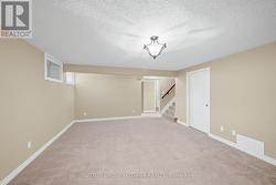 Basement family room - 