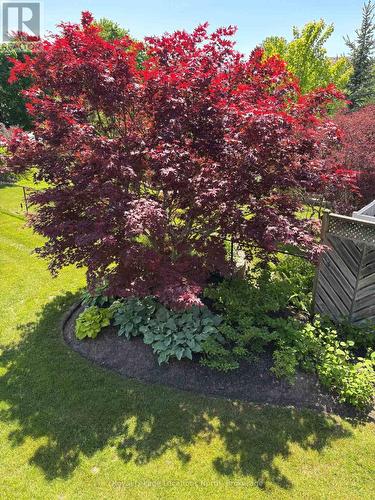6 Thomas Drive, Collingwood, ON 