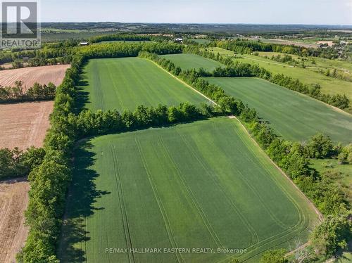 48 acres workable fields - 794 Morton Line, Cavan Monaghan (Cavan Twp), ON 