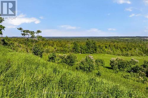 Stunning view from the main hou - 794 Morton Line, Cavan Monaghan (Cavan Twp), ON 