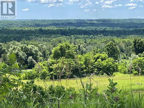 View from the front of the main house. - 794 Morton Line, Cavan Monaghan (Cavan Twp), ON 