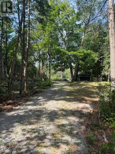 94 Everett Road, Kawartha Lakes, ON 