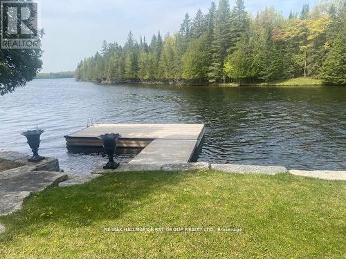 94 Everett Road, Kawartha Lakes, ON 