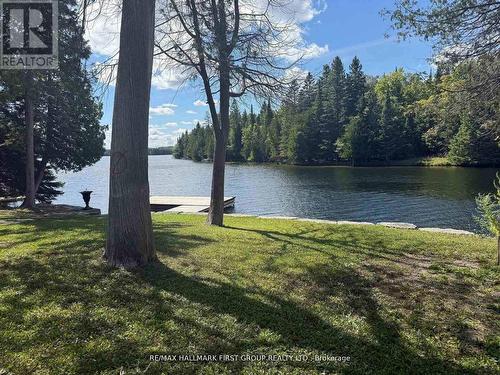 94 Everett Road, Kawartha Lakes, ON 
