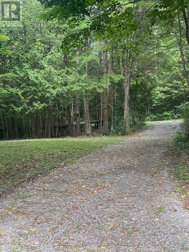 94 Everett Road, Kawartha Lakes, ON 