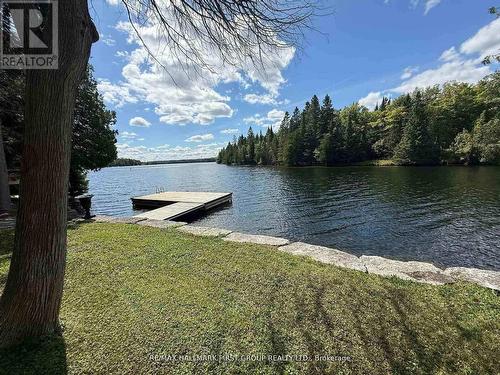 94 Everett Road, Kawartha Lakes, ON 