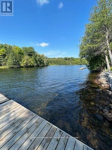94 Everett Road, Kawartha Lakes, ON 