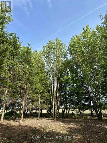 3646 Kinburn Side Road, Ottawa, ON 