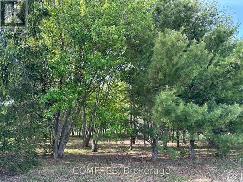 3646 Kinburn Side Road, Ottawa, ON 