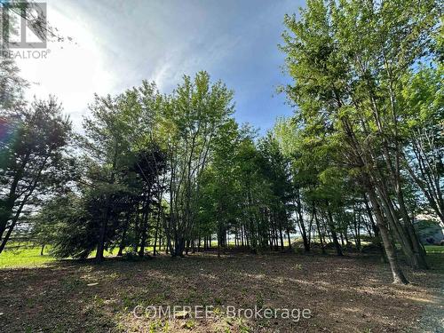 3646 Kinburn Side Road, Ottawa, ON 
