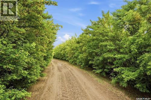 Elstad Acreage, Monet Rm No. 257, SK 