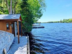 ADD SOME $ & TIENJOY THE LAKE atificial photo - 
