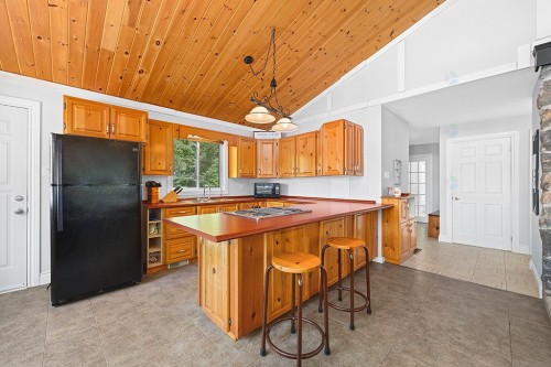 Cuisine - 134 Ch. Leslie, Otter Lake, QC - Indoor Photo Showing Kitchen