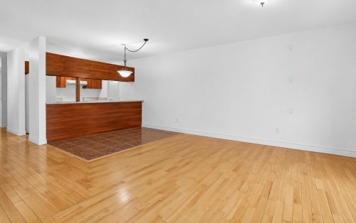 Living Room - 4224 Rue De Bellechasse, Montréal (Rosemont/La Petite-Patrie), QC - Indoor Photo Showing Other Room