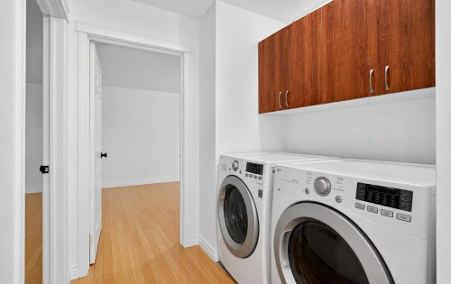 Laundry - 4224 Rue De Bellechasse, Montréal (Rosemont/La Petite-Patrie), QC - Indoor Photo Showing Laundry Room