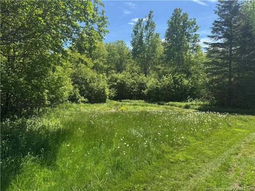 Na Portage Vale Rd., Portage Vale, NB - Outdoor